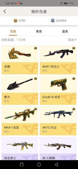 租号玩开始游戏进不去34V王者之心、王者之翼、雷神精英刀锋、黑鲨、（坠落女神）(葵)（瞳）旗袍、裁决、炫金骑士等、可排位