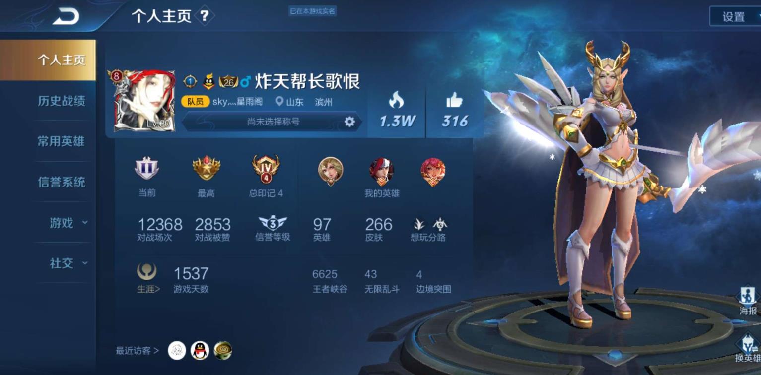 租游戏号注意事项 虎魄丨一念神魔丨309皮肤丨七荣耀水晶丨金色貂蝉丨艾