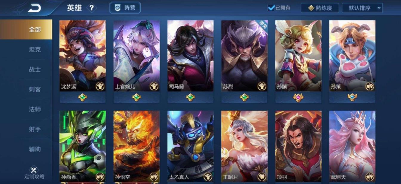 皮皮蟹租号 全英雄295皮禁言，电耗子，梅西，限定齐全，太后，武