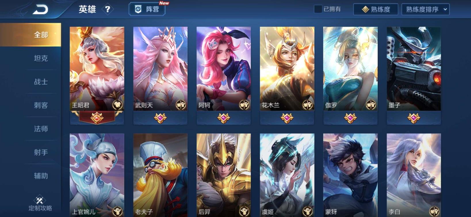 王者荣耀陪玩租号 175皮 3典藏2星元 全息碎影 粉武则天 杀手不太