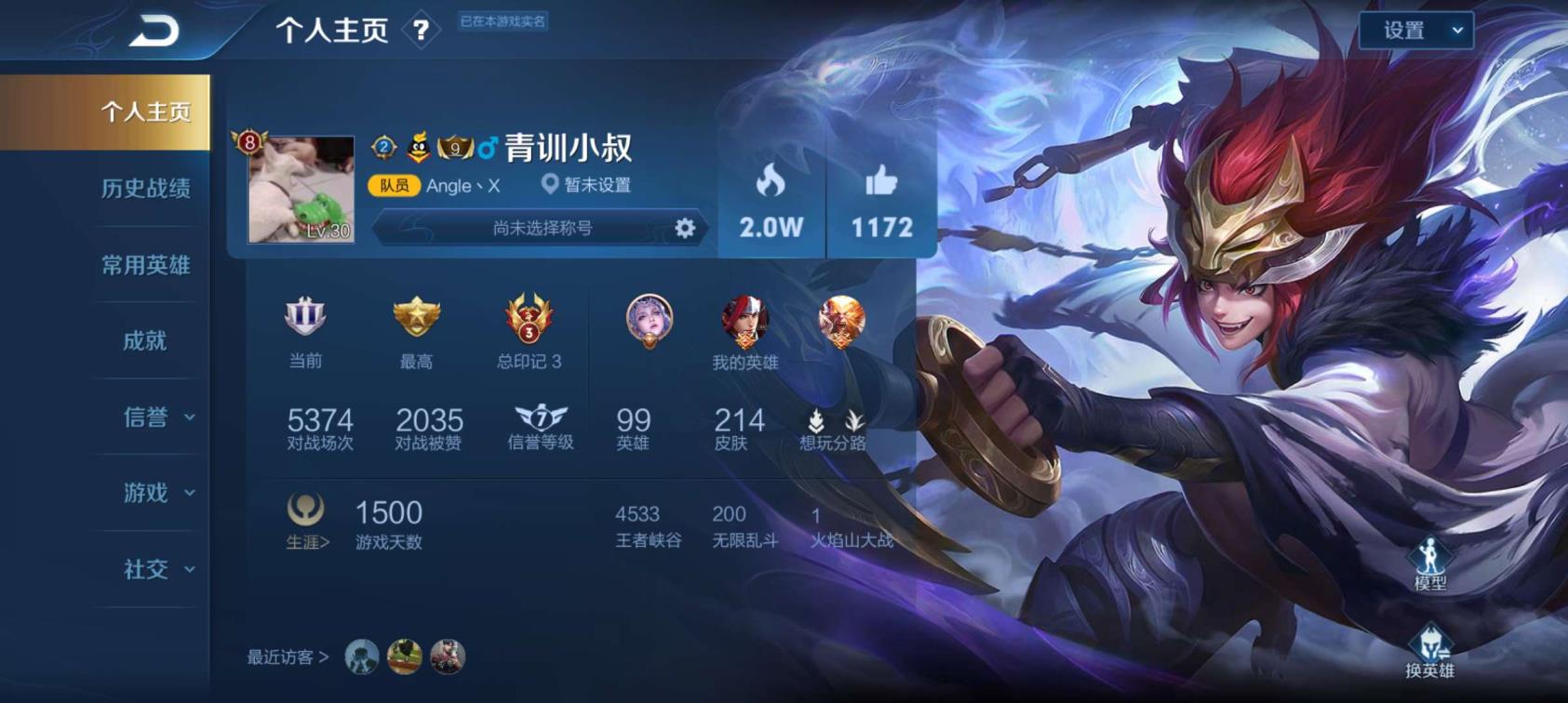 租号账号标签怎么写 可排位❤️215皮肤❤️白虎志❤️满KPL限定老虎全